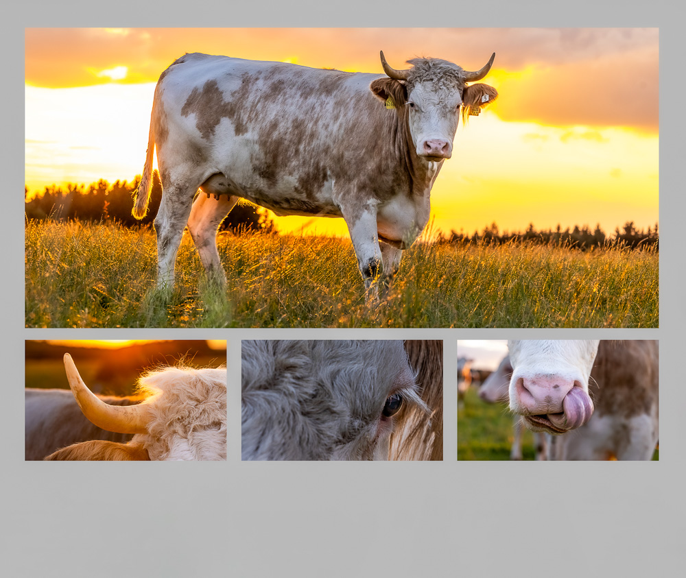 Platz 11 Conny Kleiner